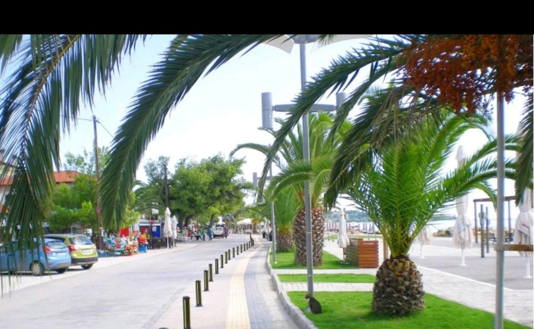 Garden House Nikiti Apartment 0*, Nikiti (Sithonia)